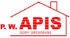 Logo P.W. APIS
