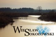 Logo Wiesław Sokołowski