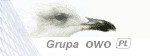 Logo Grupa owo.pl