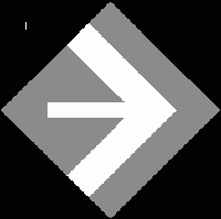Logo NEMESIS producent kształtek styropianowych