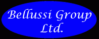 Logo Bellussi Group Ltd.